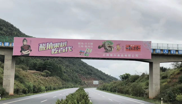 云南高速公路跨线桥广告