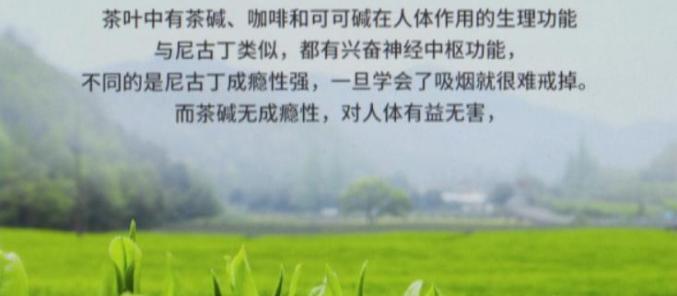 茶烟广告
